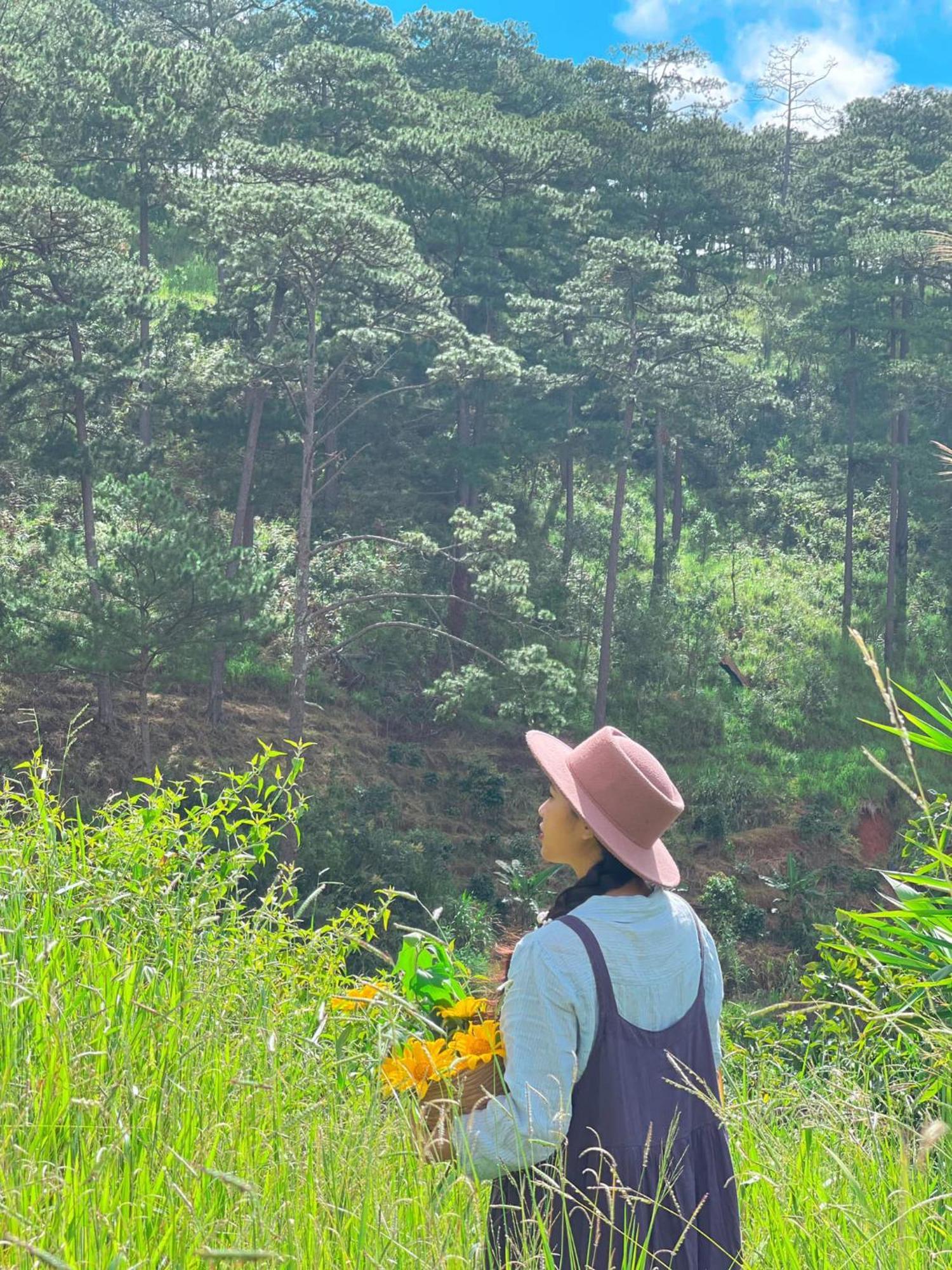 Dalat Memories Homestay - Pho Suong Mo Đà Lạt Exterior foto