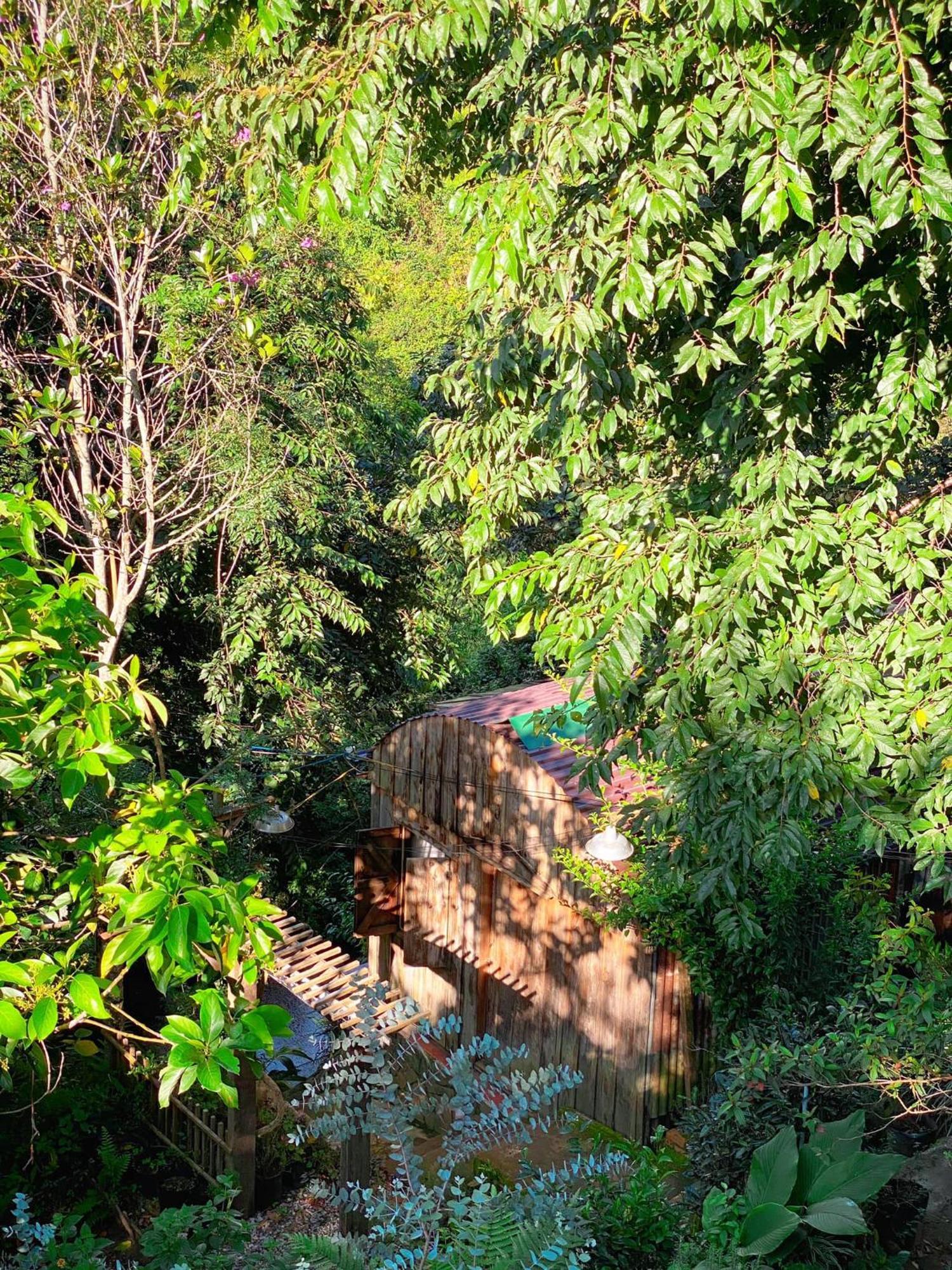 Dalat Memories Homestay - Pho Suong Mo Đà Lạt Exterior foto