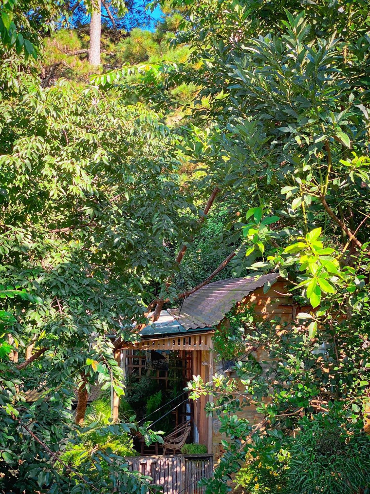 Dalat Memories Homestay - Pho Suong Mo Đà Lạt Exterior foto
