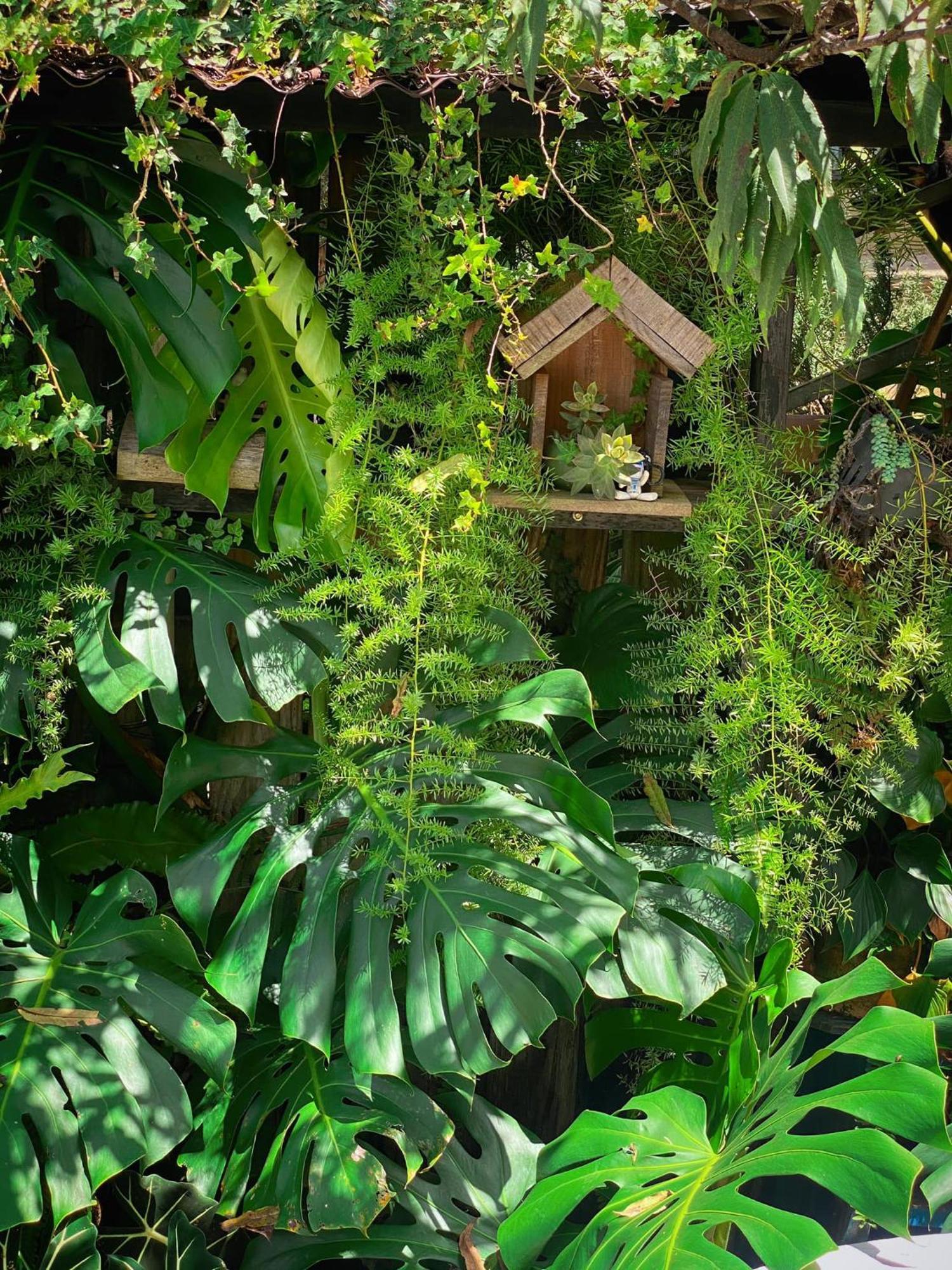Dalat Memories Homestay - Pho Suong Mo Đà Lạt Exterior foto