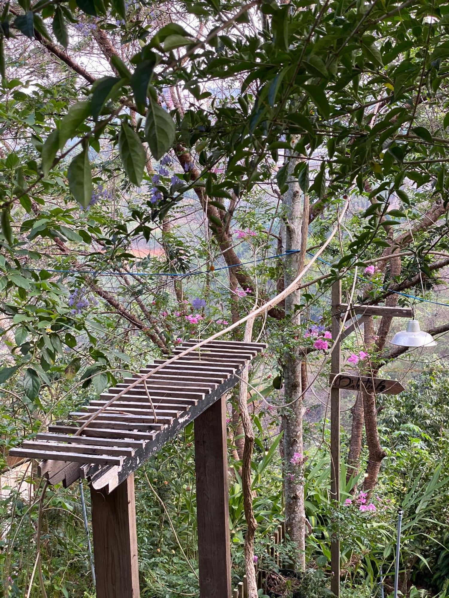 Dalat Memories Homestay - Pho Suong Mo Đà Lạt Exterior foto