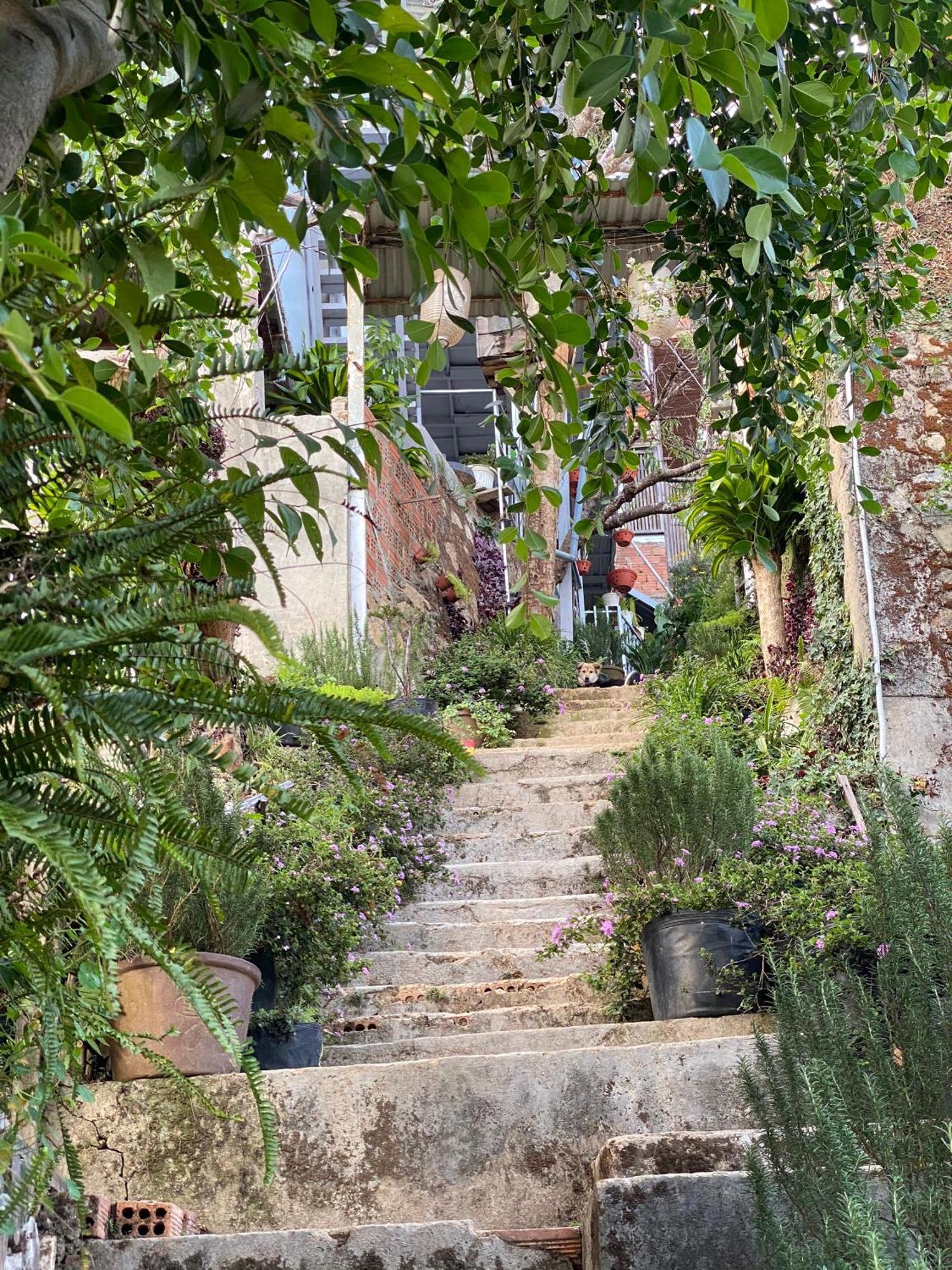 Dalat Memories Homestay - Pho Suong Mo Đà Lạt Exterior foto