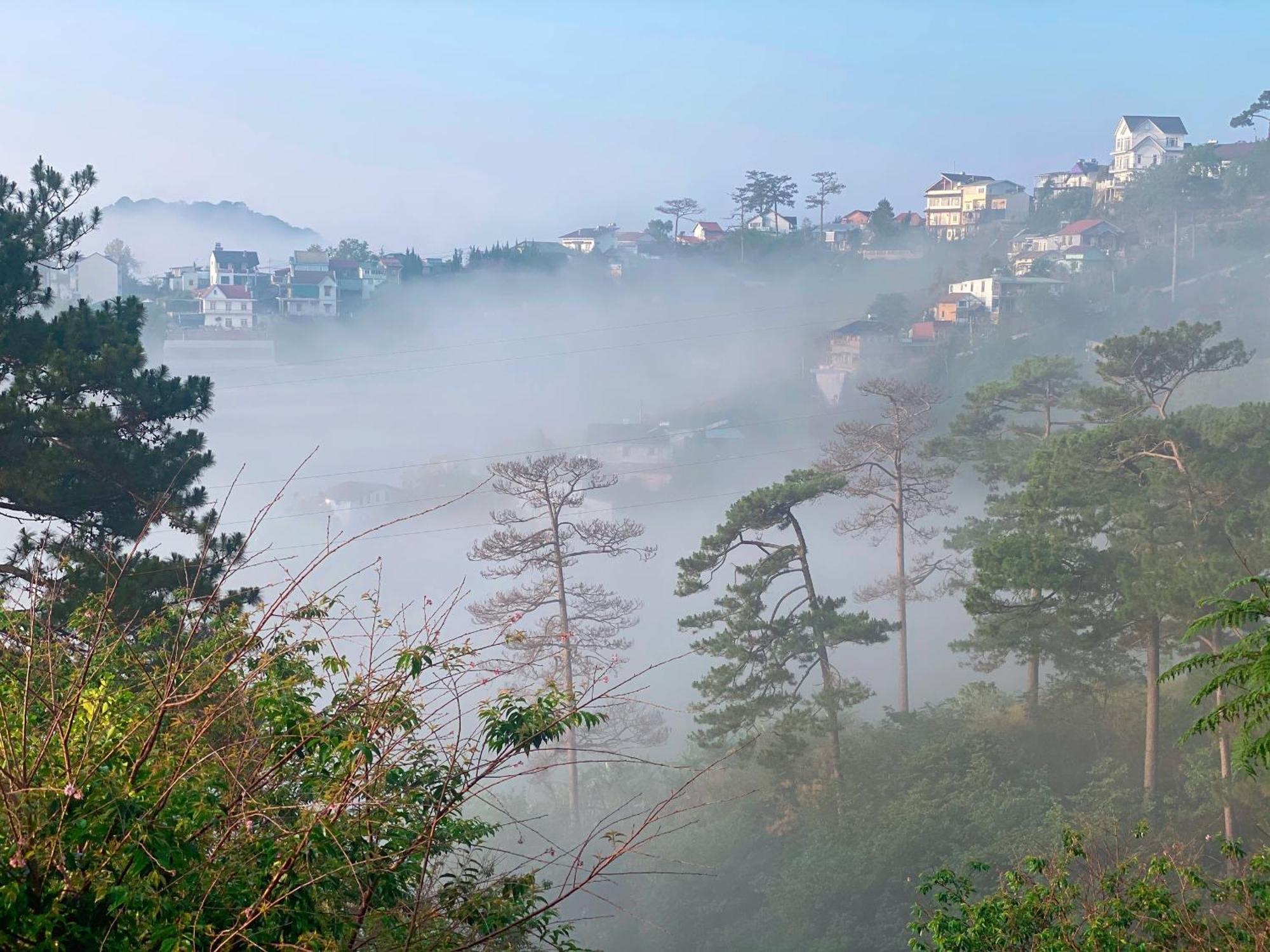 Dalat Memories Homestay - Pho Suong Mo Đà Lạt Exterior foto