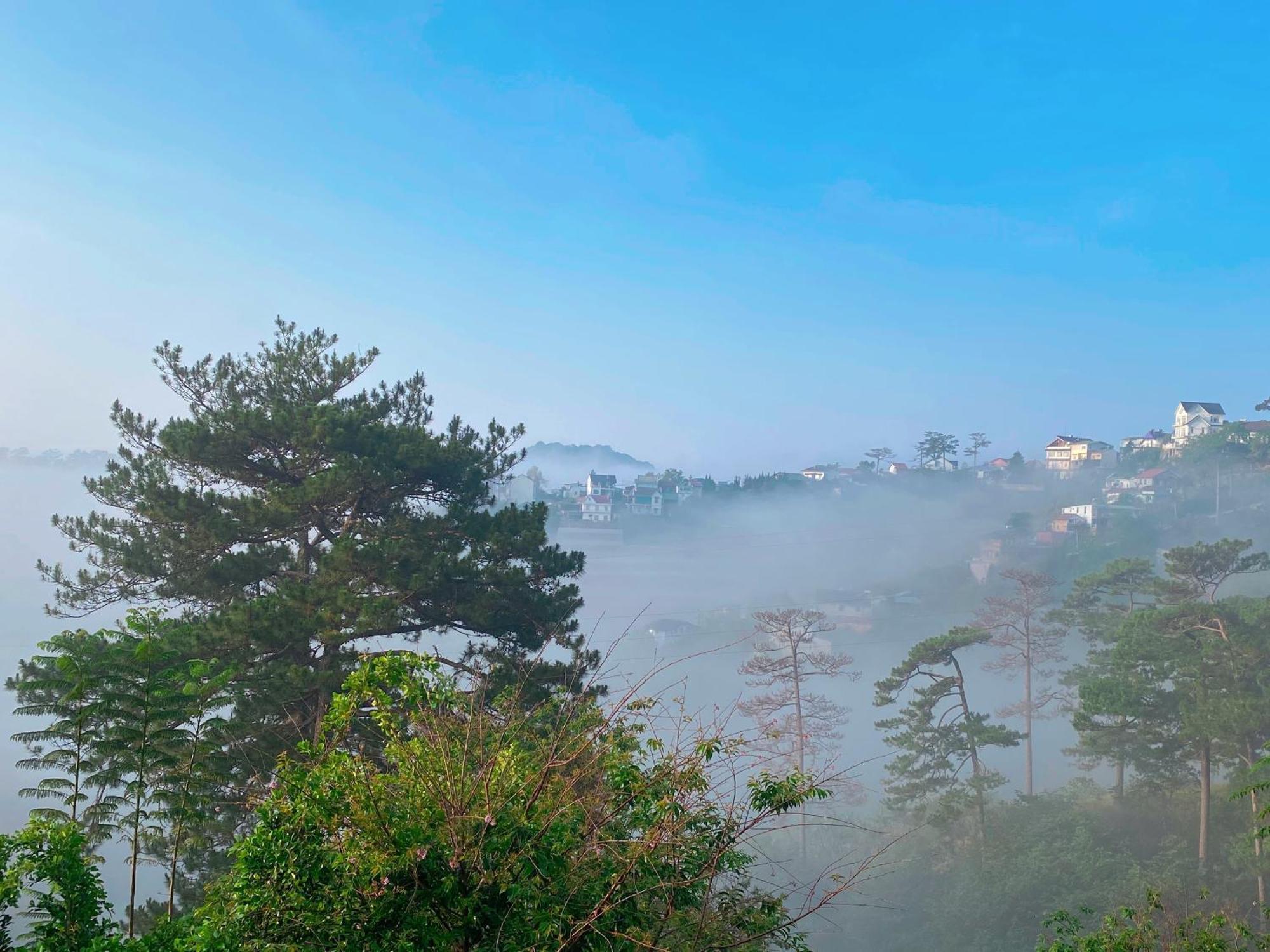 Dalat Memories Homestay - Pho Suong Mo Đà Lạt Exterior foto