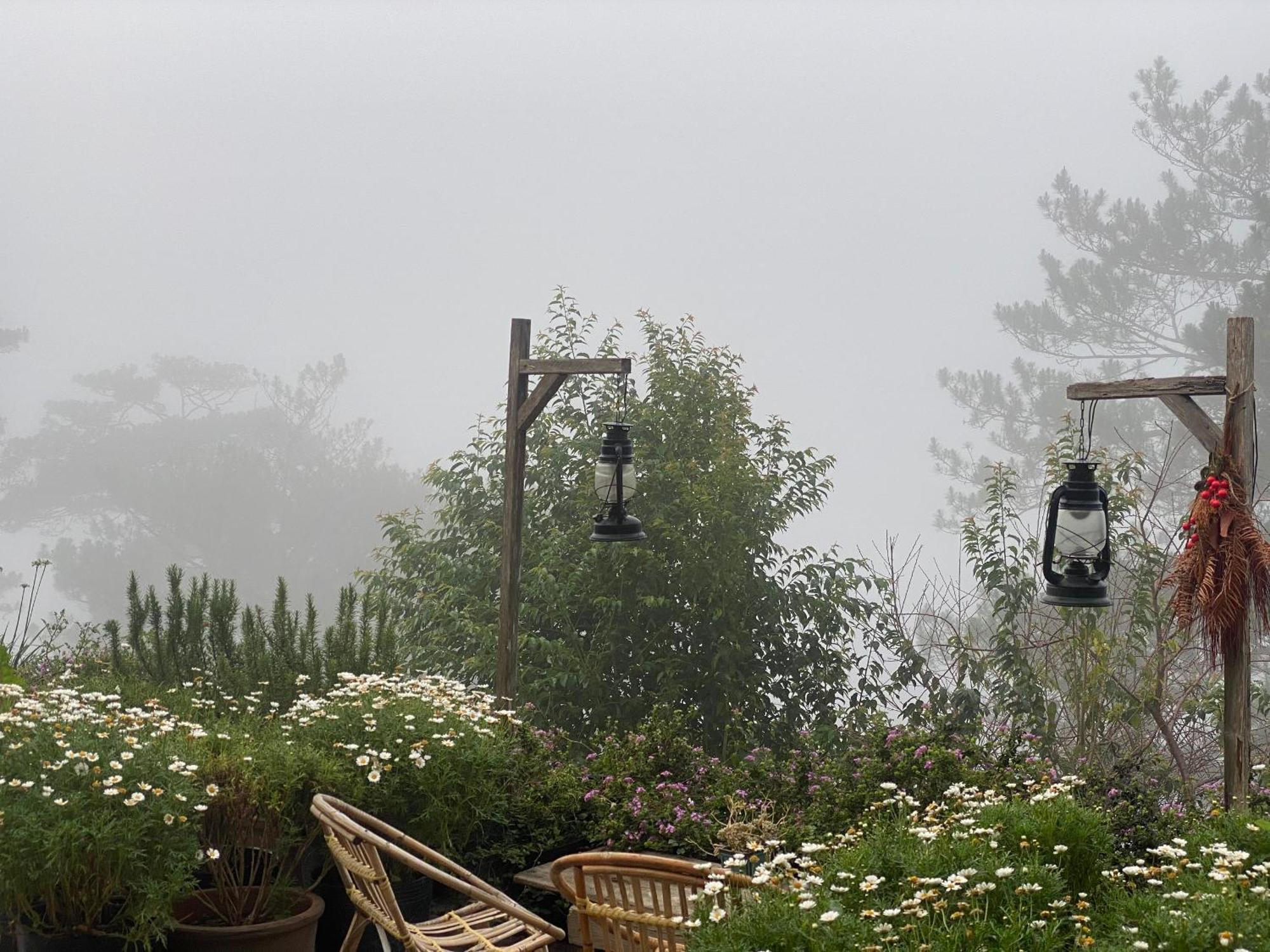 Dalat Memories Homestay - Pho Suong Mo Đà Lạt Exterior foto