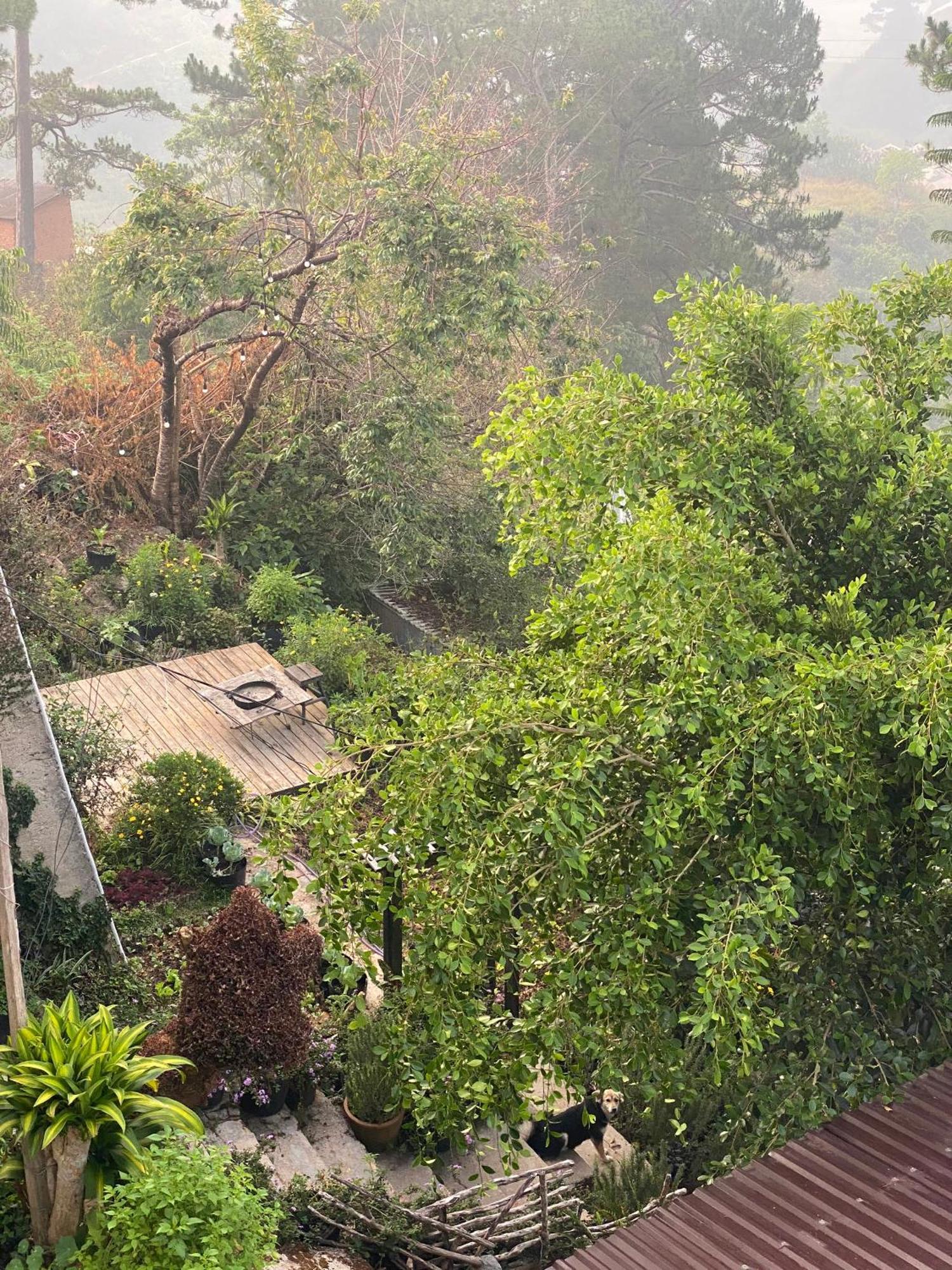 Dalat Memories Homestay - Pho Suong Mo Đà Lạt Exterior foto