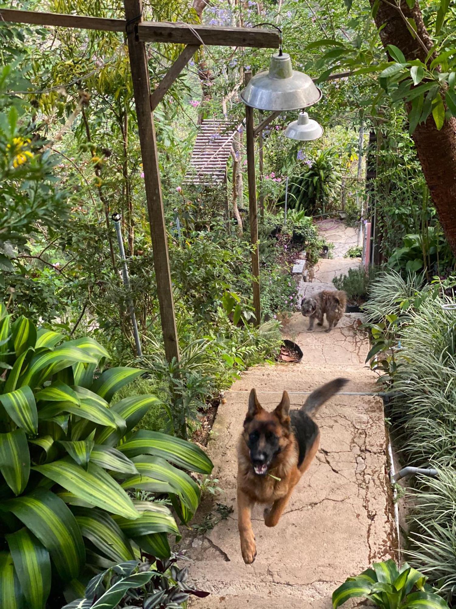 Dalat Memories Homestay - Pho Suong Mo Đà Lạt Exterior foto