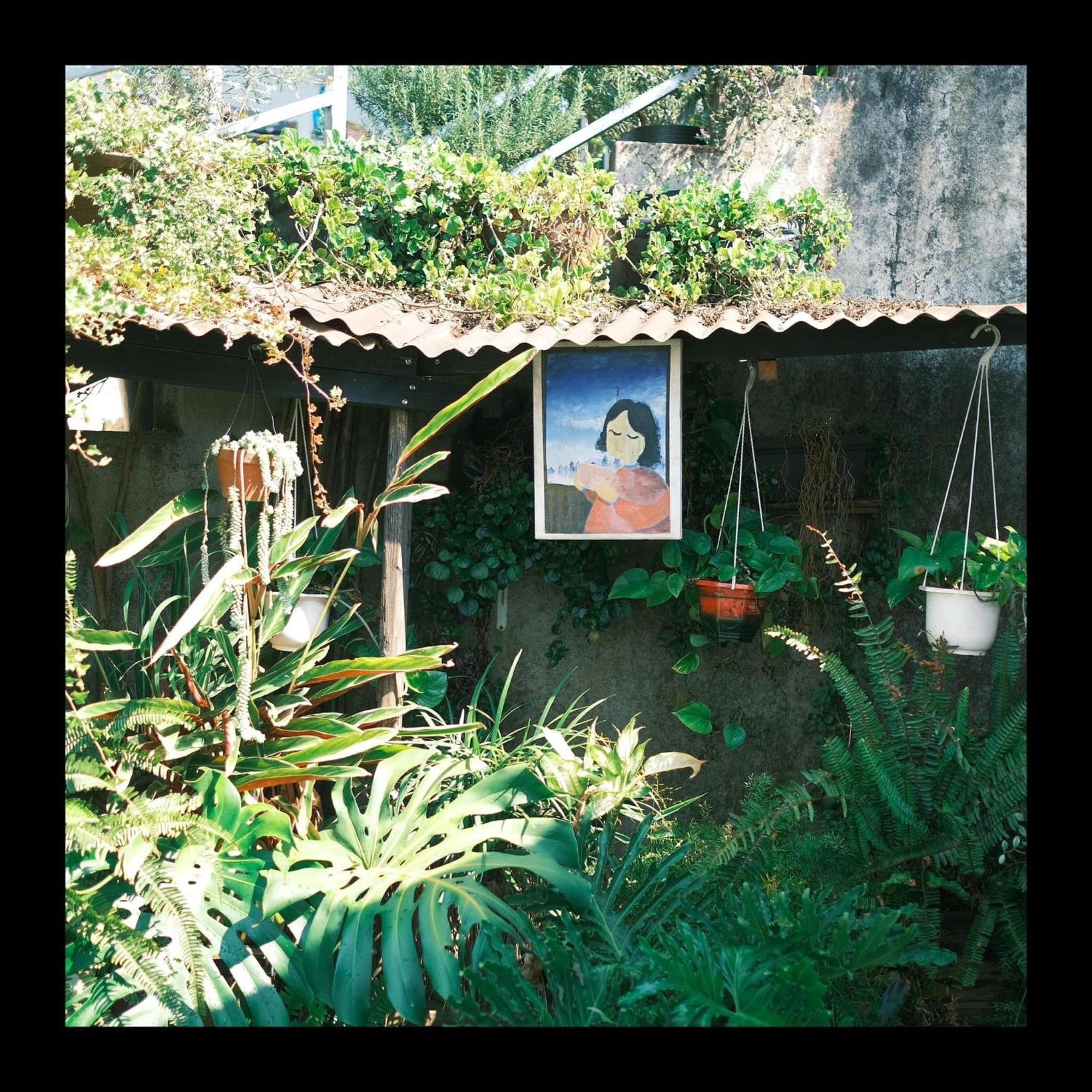 Dalat Memories Homestay - Pho Suong Mo Đà Lạt Exterior foto