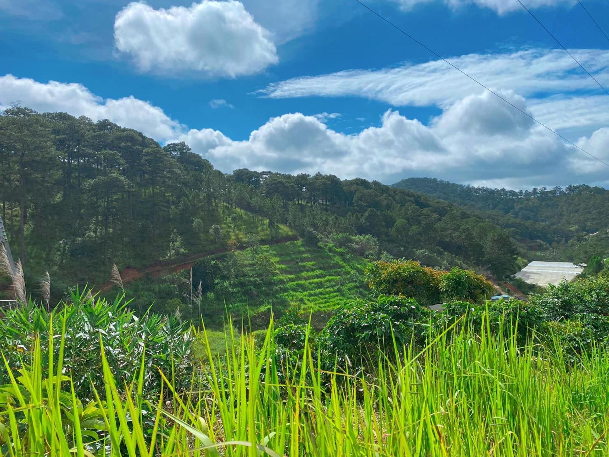 Dalat Memories Homestay - Pho Suong Mo Đà Lạt Exterior foto